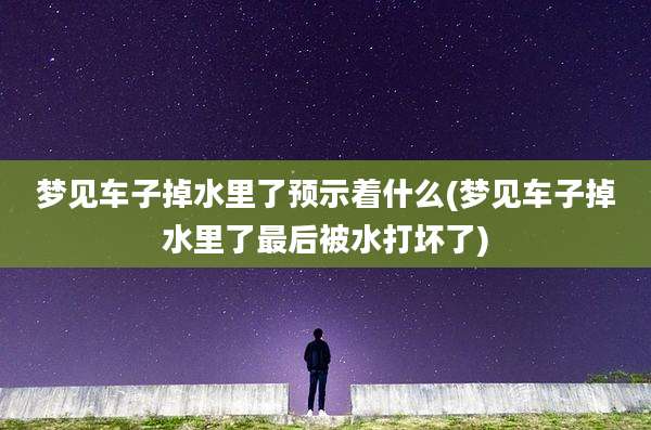 梦见车子掉水里了预示着什么(梦见车子掉水里了最后被水打坏了)