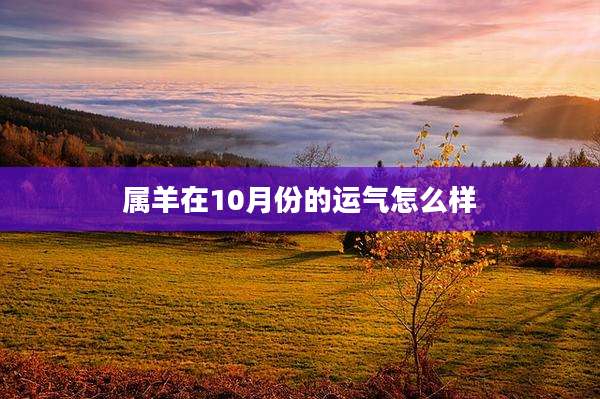 属羊在10月份的运气怎么样