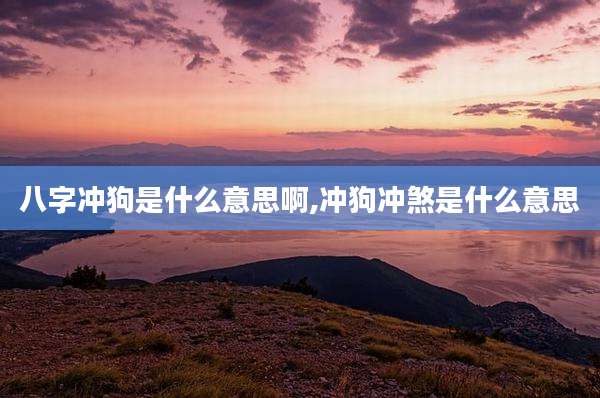 八字冲狗是什么意思啊,冲狗冲煞是什么意思
