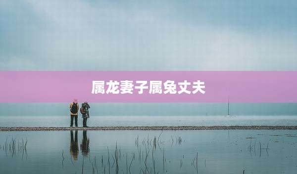 属龙妻子属兔丈夫