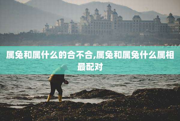 属兔和属什么的合不合,属兔和属兔什么属相最配对