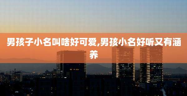男孩子小名叫啥好可爱,男孩小名好听又有涵养