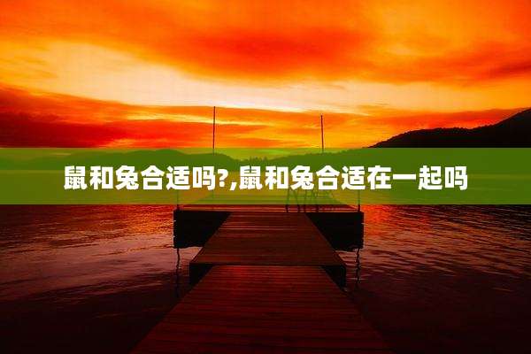 鼠和兔合适吗?,鼠和兔合适在一起吗