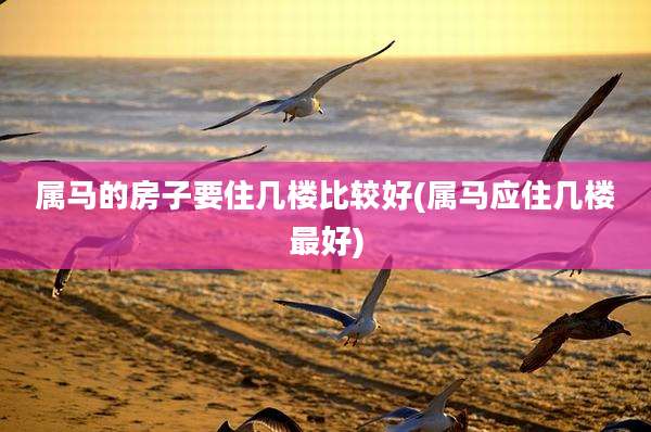 属马的房子要住几楼比较好(属马应住几楼最好)
