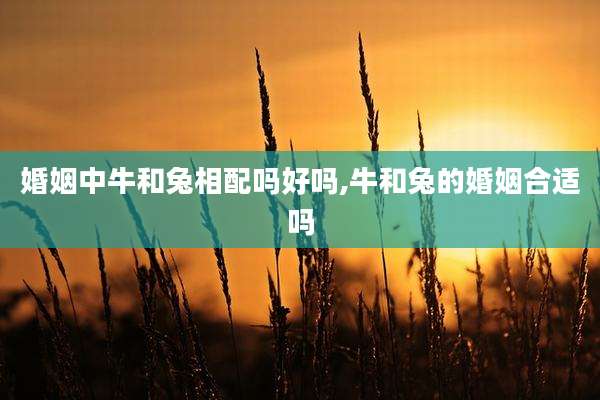 婚姻中牛和兔相配吗好吗,牛和兔的婚姻合适吗
