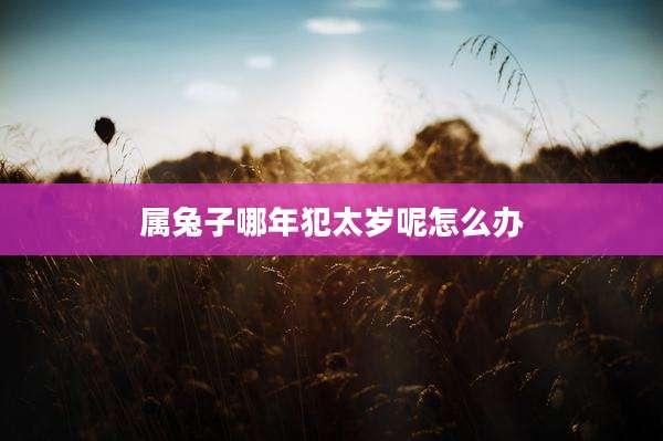 属兔子哪年犯太岁呢怎么办