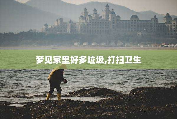 梦见家里好多垃圾,打扫卫生