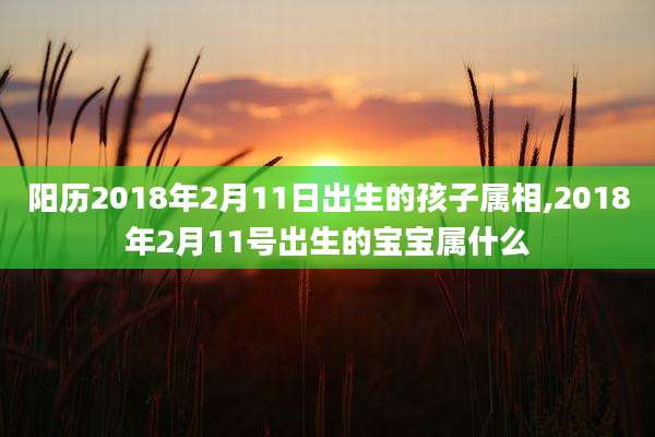 阳历2018年2月11日出生的孩子属相,2018年2月11号出生的宝宝属什么