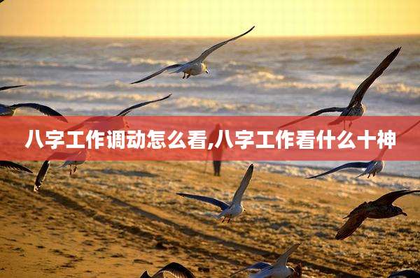 八字工作调动怎么看,八字工作看什么十神
