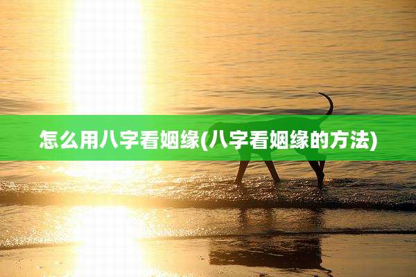 怎么用八字看姻缘(八字看姻缘的方法)
