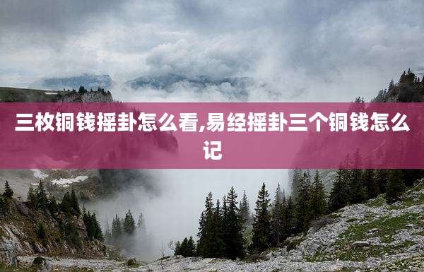 三枚铜钱摇卦怎么看,易经摇卦三个铜钱怎么记