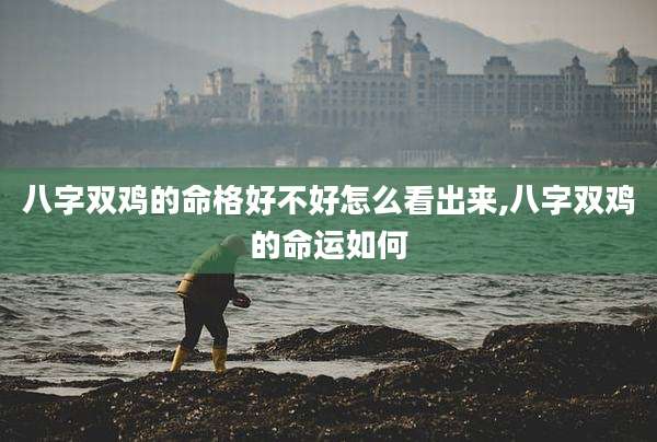 八字双鸡的命格好不好怎么看出来,八字双鸡的命运如何