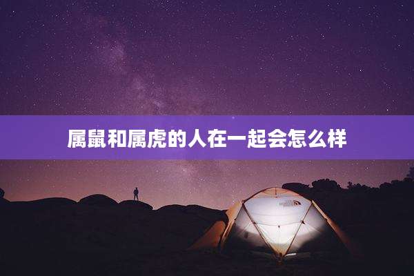 属鼠和属虎的人在一起会怎么样