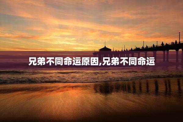 兄弟不同命运原因,兄弟不同命运