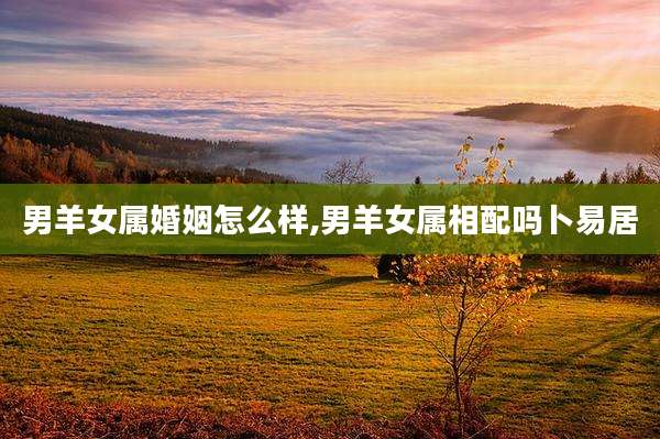 男羊女属婚姻怎么样,男羊女属相配吗卜易居