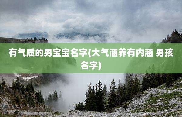 有气质的男宝宝名字(大气涵养有内涵 男孩名字)