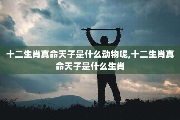 十二生肖真命天子是什么动物呢,十二生肖真命天子是什么生肖