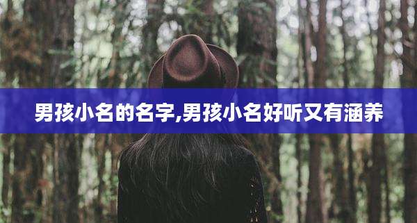 男孩小名的名字,男孩小名好听又有涵养