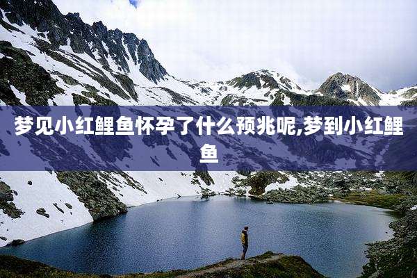 梦见小红鲤鱼怀孕了什么预兆呢,梦到小红鲤鱼