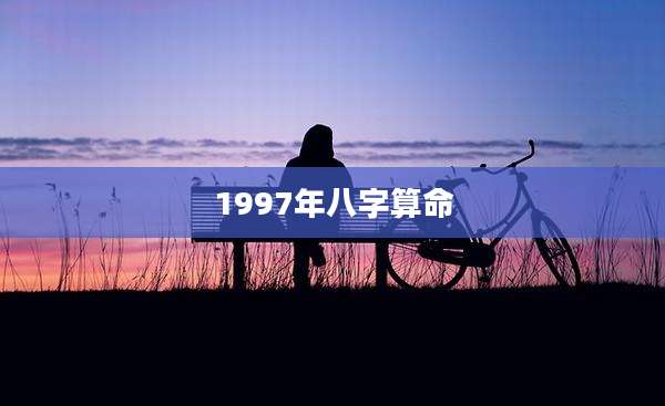 1997年八字算命
