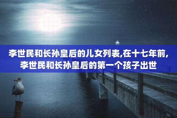 李世民和长孙皇后的儿女列表,在十七年前,李世民和长孙皇后的第一个孩子出世