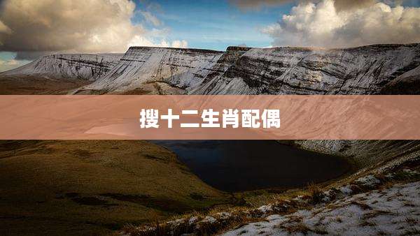 搜十二生肖配偶