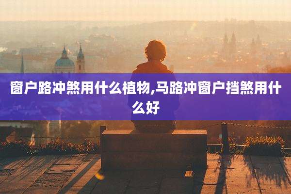 窗户路冲煞用什么植物,马路冲窗户挡煞用什么好