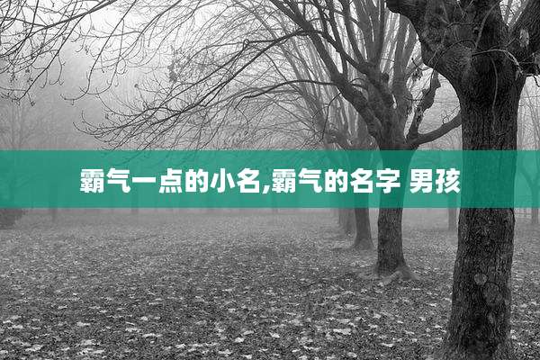 霸气一点的小名,霸气的名字 男孩