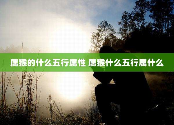 属猴的什么五行属性 属猴什么五行属什么