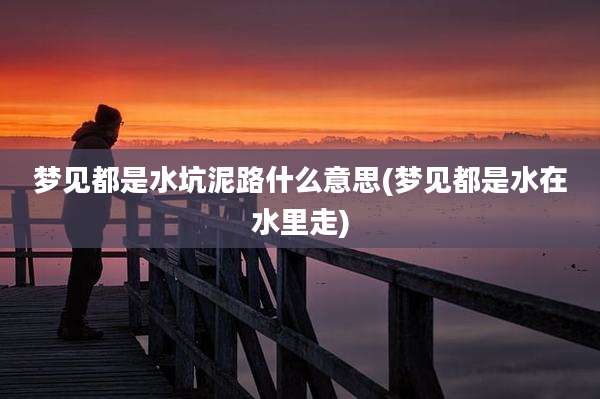 梦见都是水坑泥路什么意思(梦见都是水在水里走)