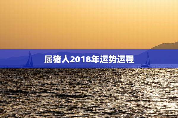 属猪人2018年运势运程