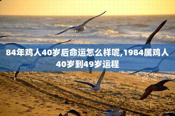 84年鸡人40岁后命运怎么样呢,1984属鸡人40岁到49岁运程