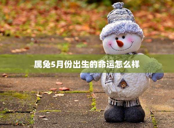 属兔5月份出生的命运怎么样