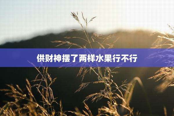 供财神摆了两样水果行不行