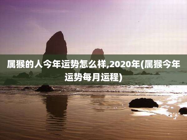 属猴的人今年运势怎么样,2020年(属猴今年运势每月运程)
