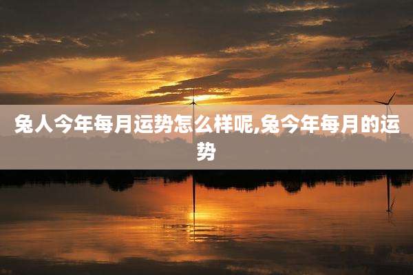 兔人今年每月运势怎么样呢,兔今年每月的运势