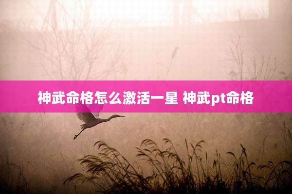 神武命格怎么激活一星 神武pt命格