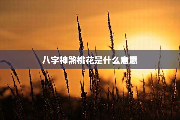 八字神煞桃花是什么意思