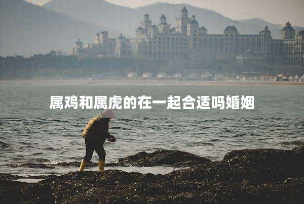 属鸡和属虎的在一起合适吗婚姻