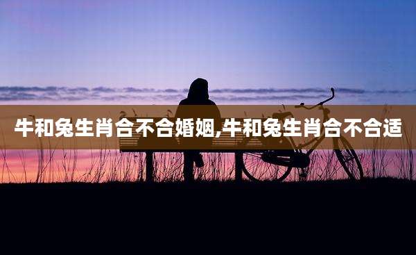 牛和兔生肖合不合婚姻,牛和兔生肖合不合适