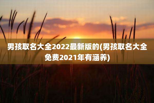 男孩取名大全2022最新版的(男孩取名大全免费2021年有涵养)