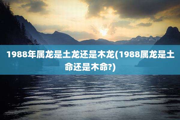 1988年属龙是土龙还是木龙(1988属龙是土命还是木命?)