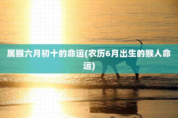 属猴六月初十的命运(农历6月出生的猴人命运)