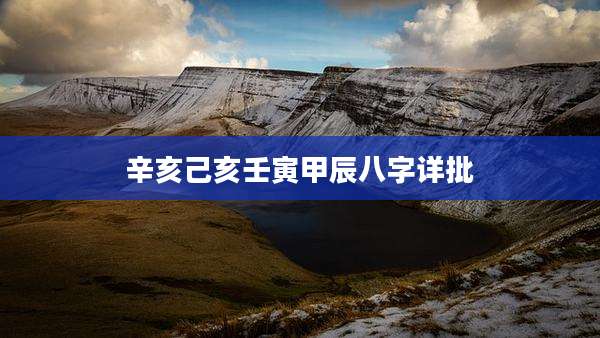 辛亥己亥壬寅甲辰八字详批