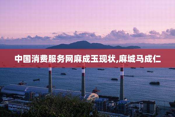 中国消费服务网麻成玉现状,麻城马成仁