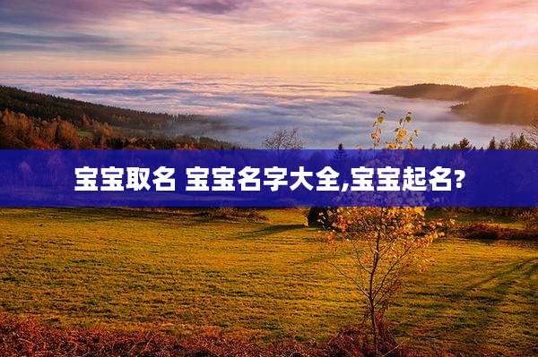 宝宝取名 宝宝名字大全,宝宝起名?