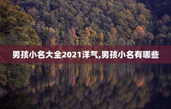 男孩小名大全2021洋气,男孩小名有哪些
