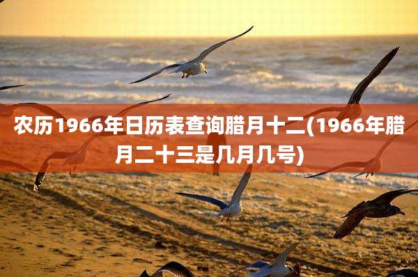农历1966年日历表查询腊月十二(1966年腊月二十三是几月几号)
