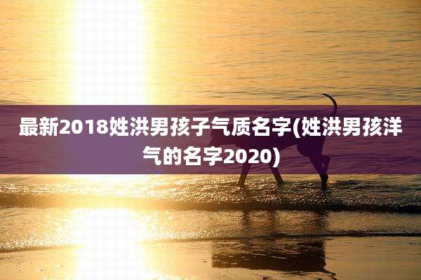 最新2018姓洪男孩子气质名字(姓洪男孩洋气的名字2020)