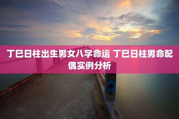 丁巳日柱出生男女八字命运 丁巳日柱男命配偶实例分析